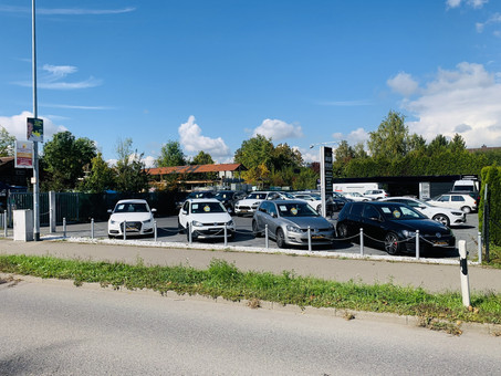 Sunny Cars